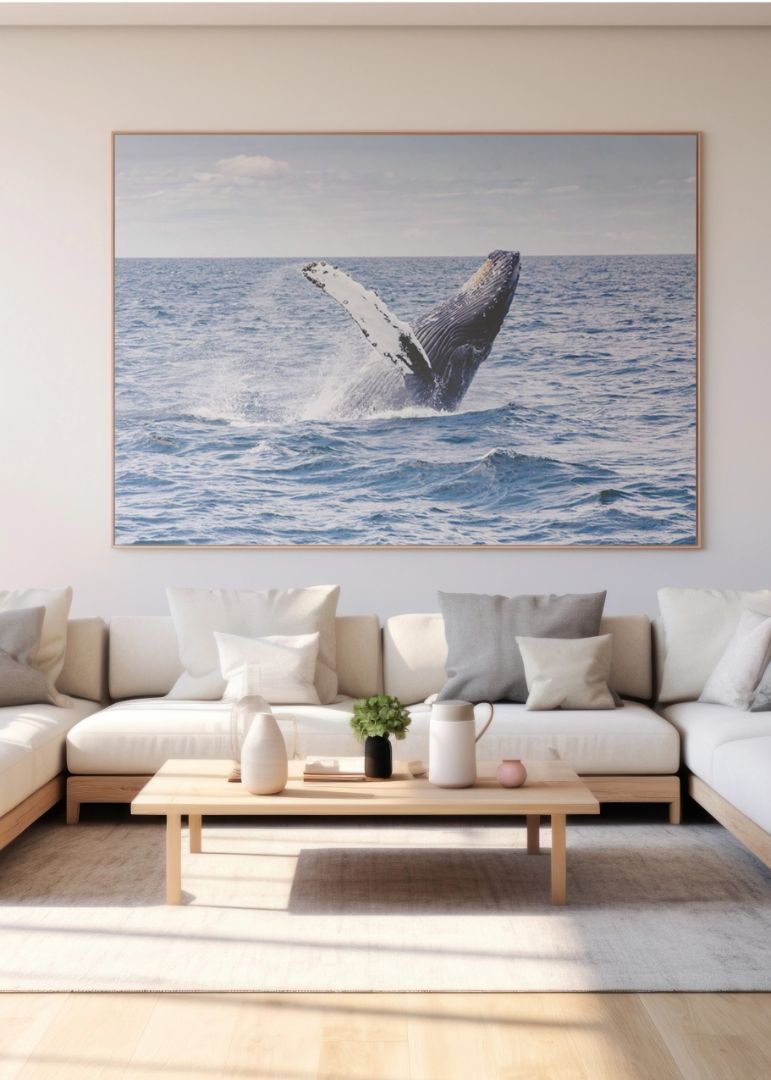 Whale Splash