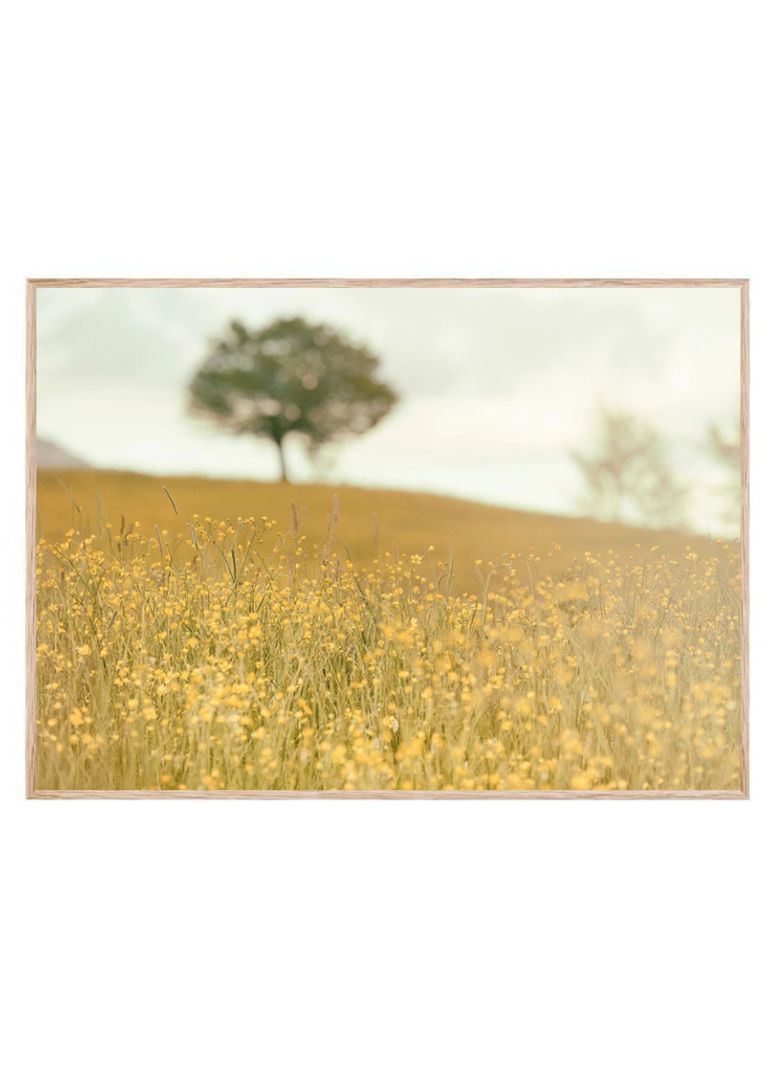 Grass Nature