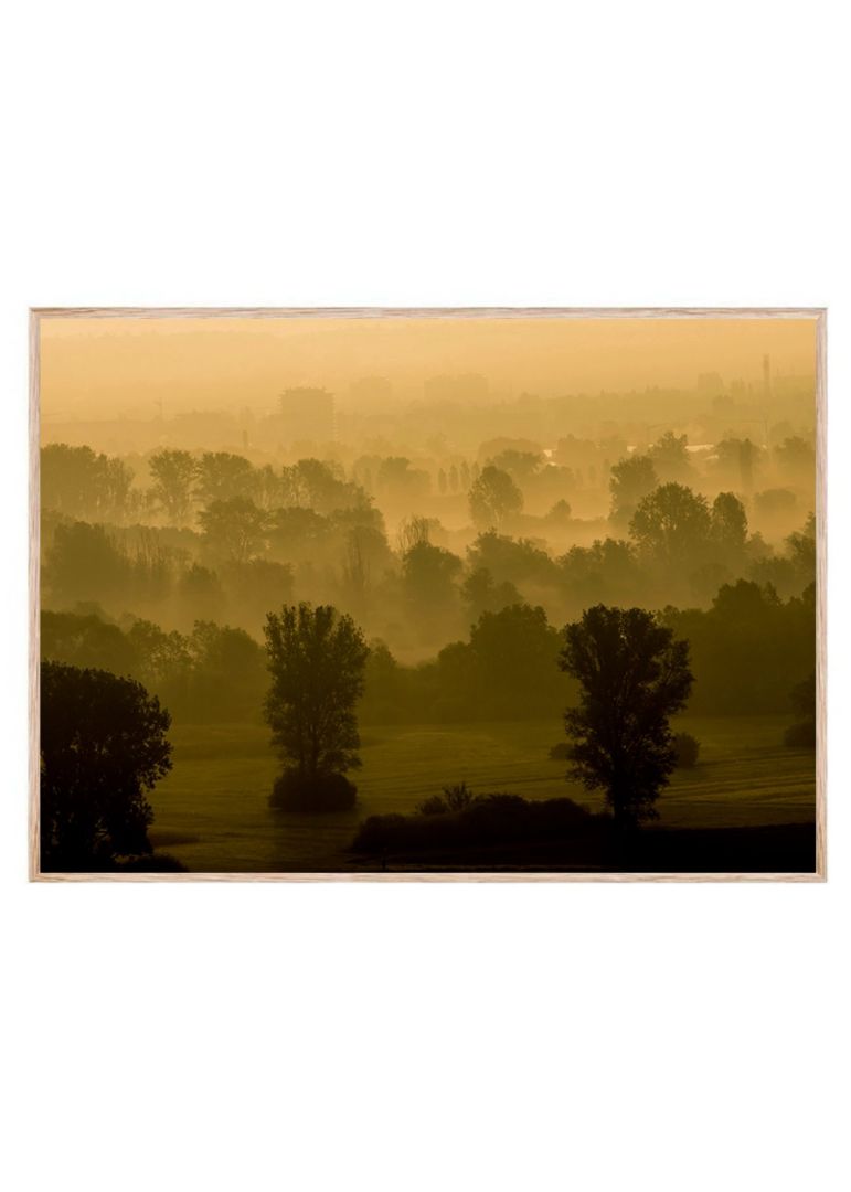 Nature Light Cloud