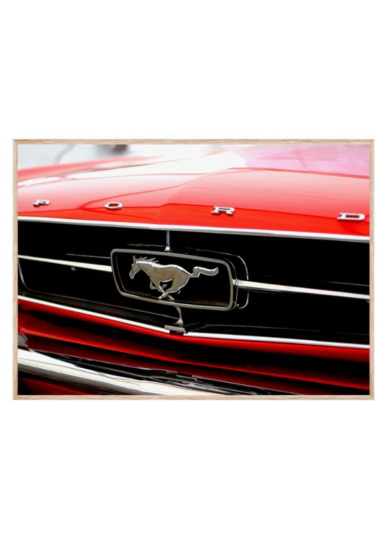 Red Sportscar