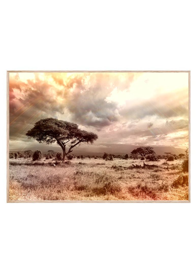 The wilderness horizon