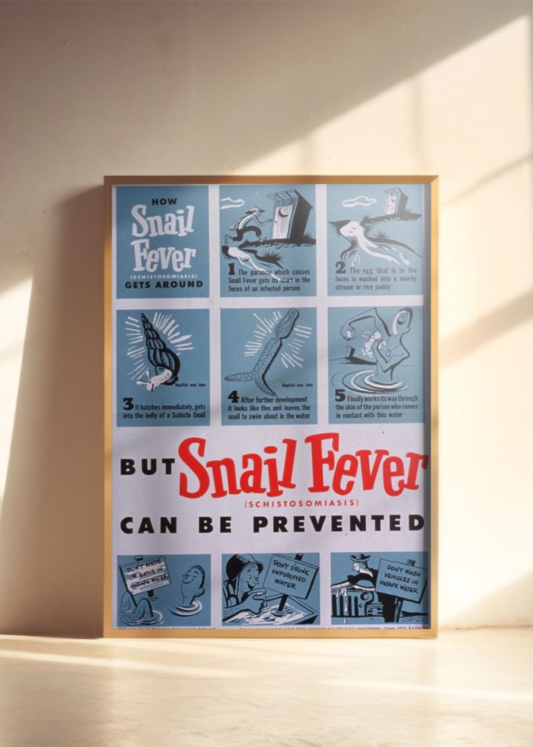 How Snail Fever (Schistosomiasis) Gets Around