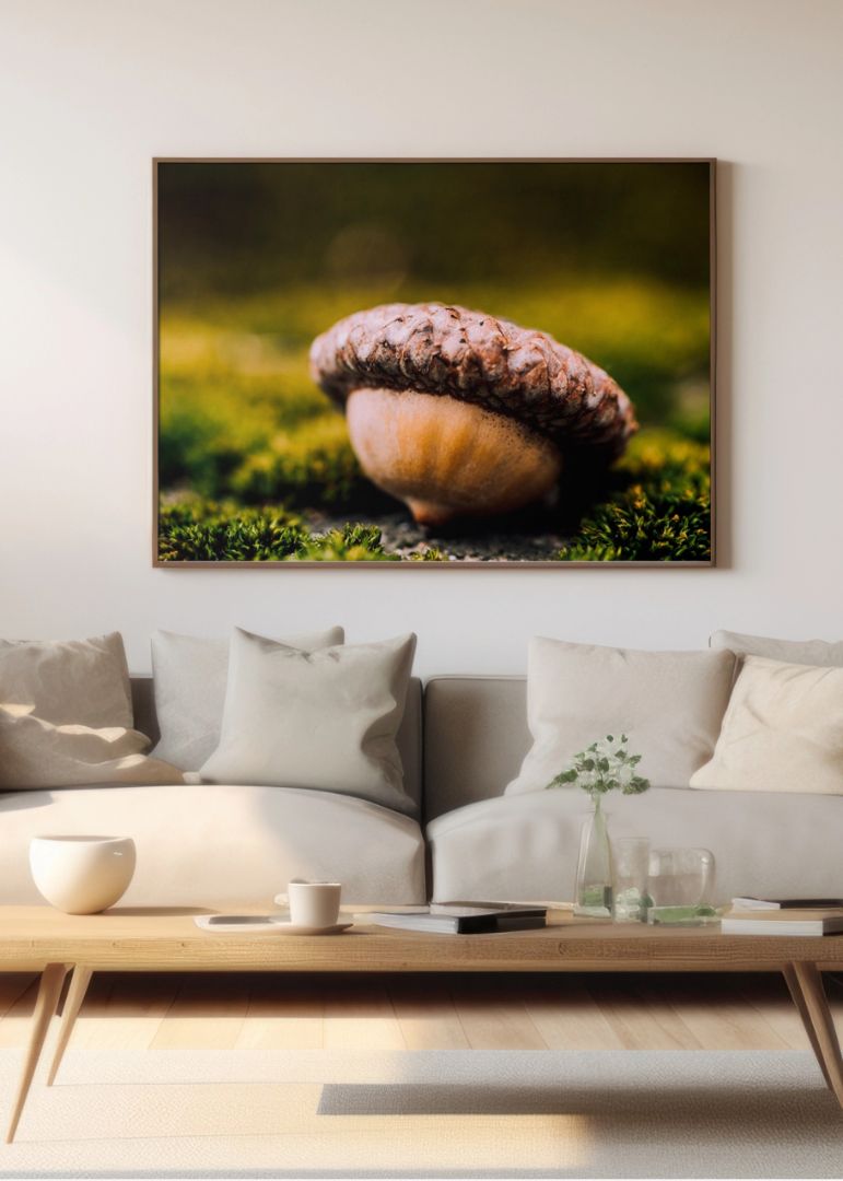 Acorn Nut