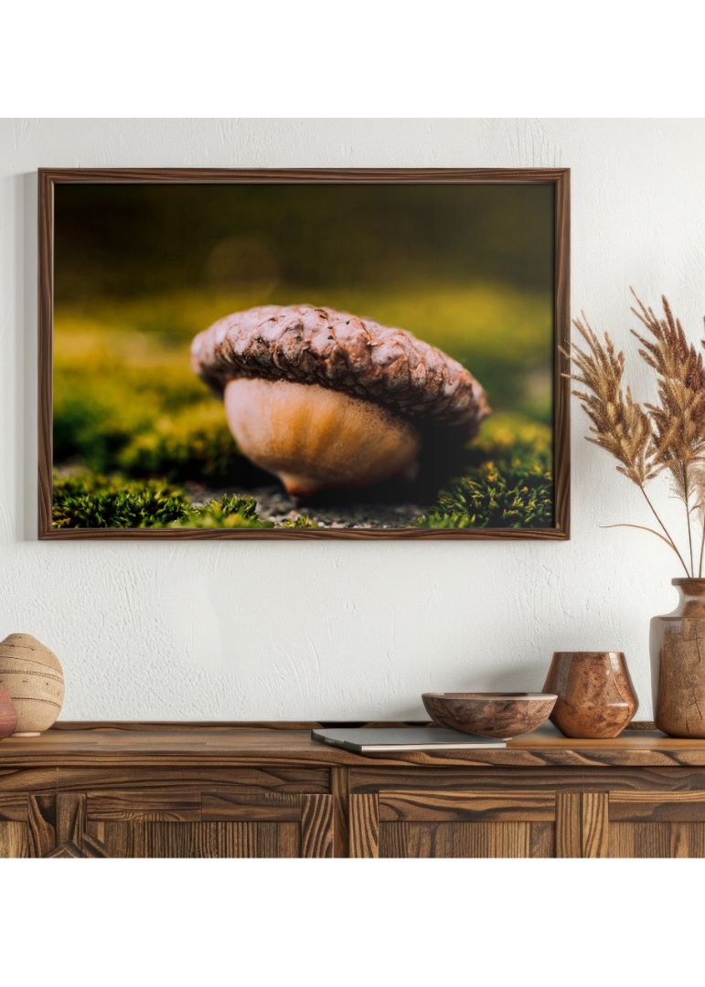 Acorn Nut