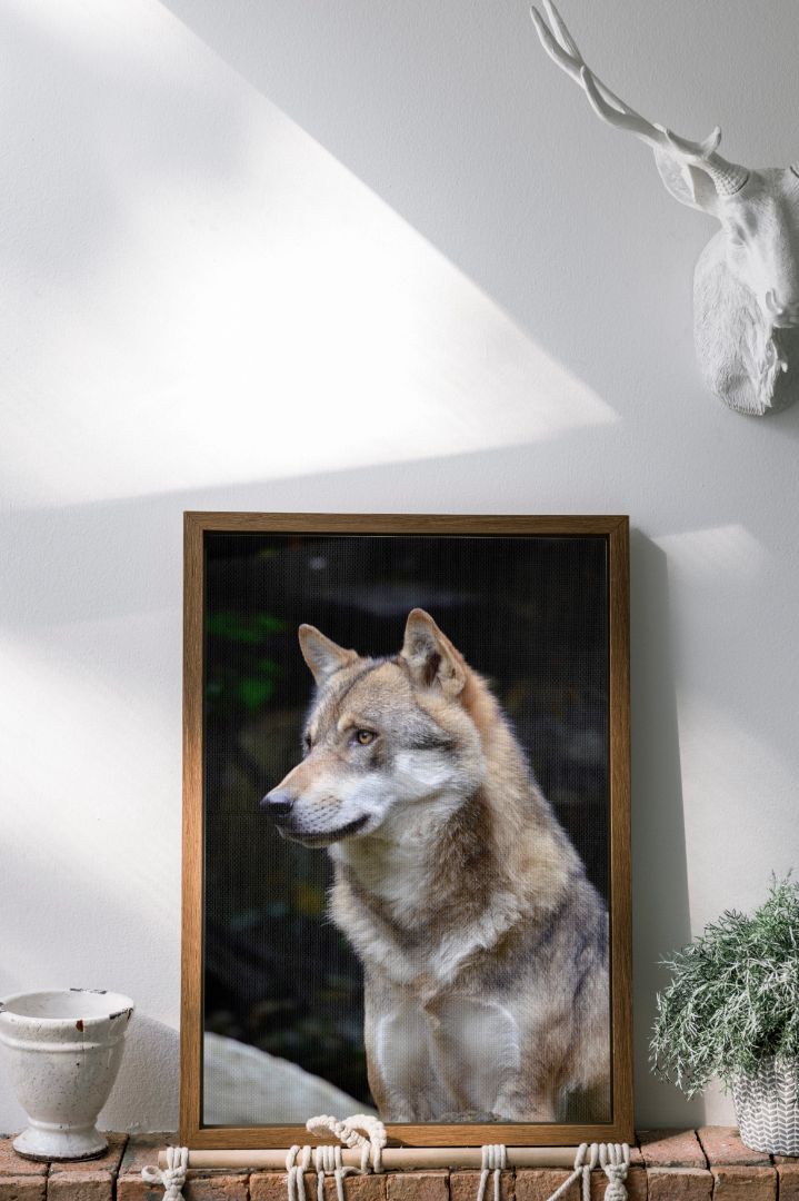 Alpha Wolf