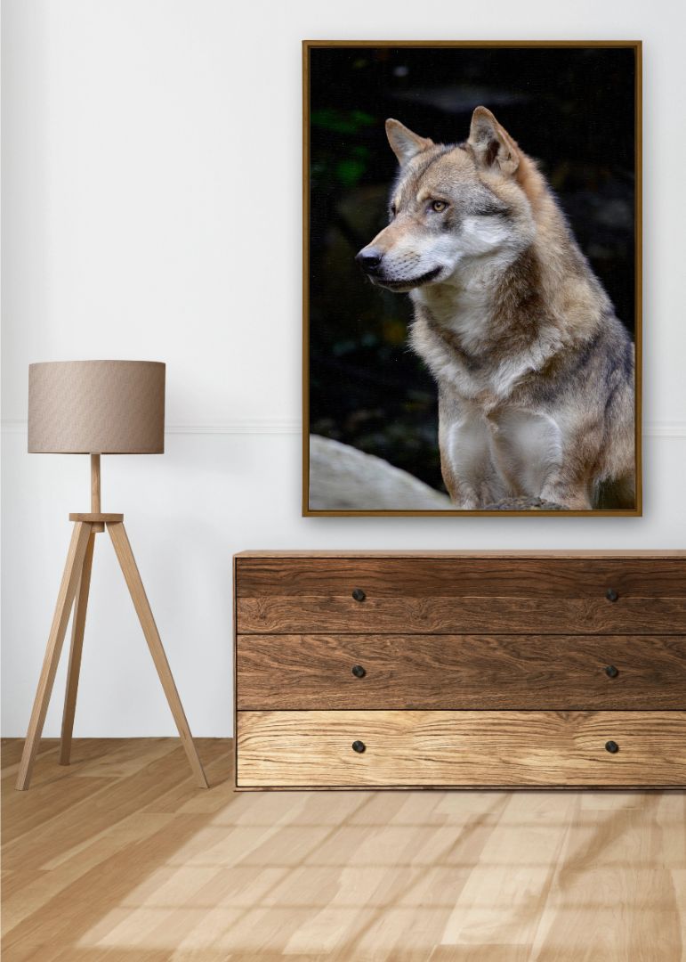 Alpha Wolf
