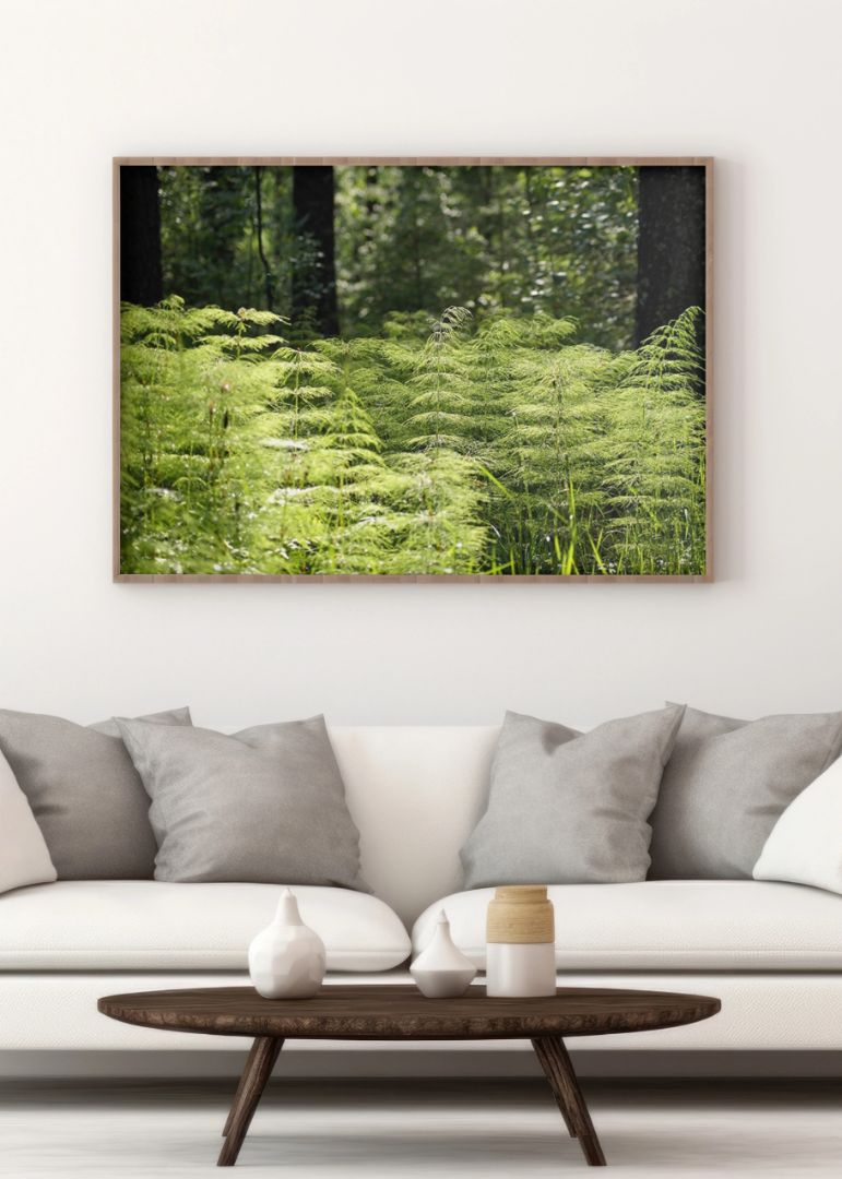 Expansive Forest Grass