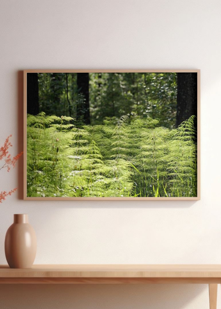 Expansive Forest Grass