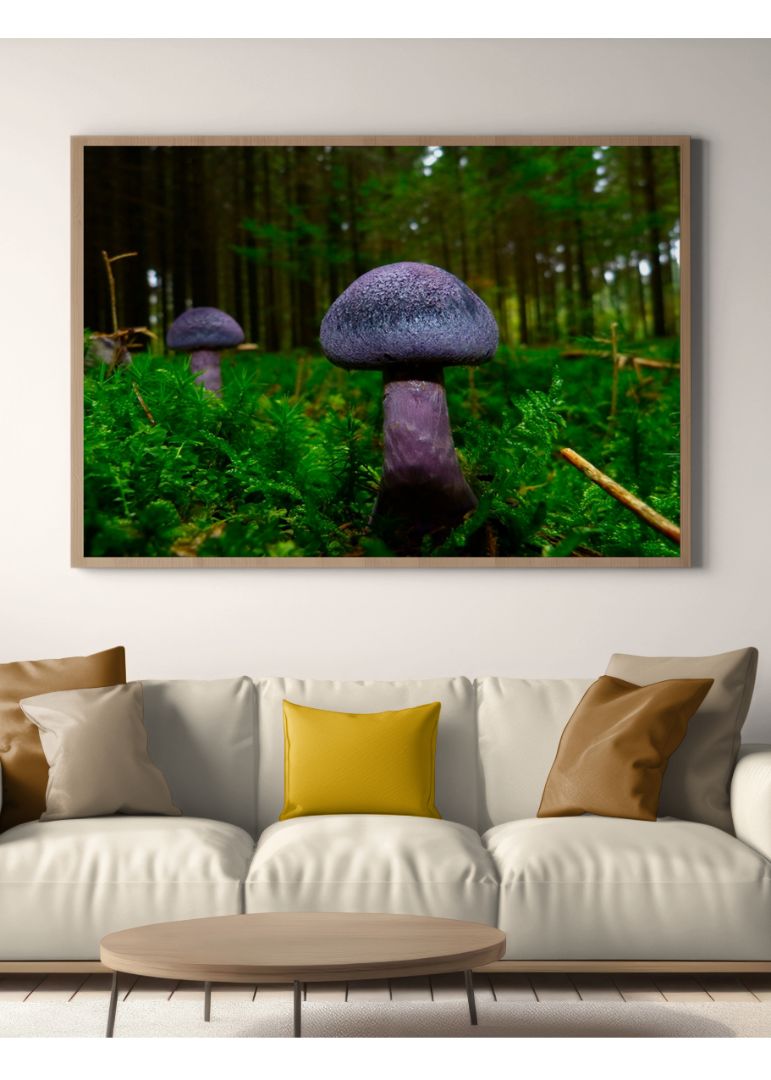 Fluffy Mushroom