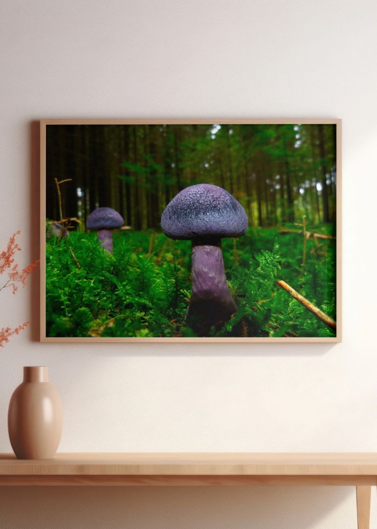 Fluffy Mushroom
