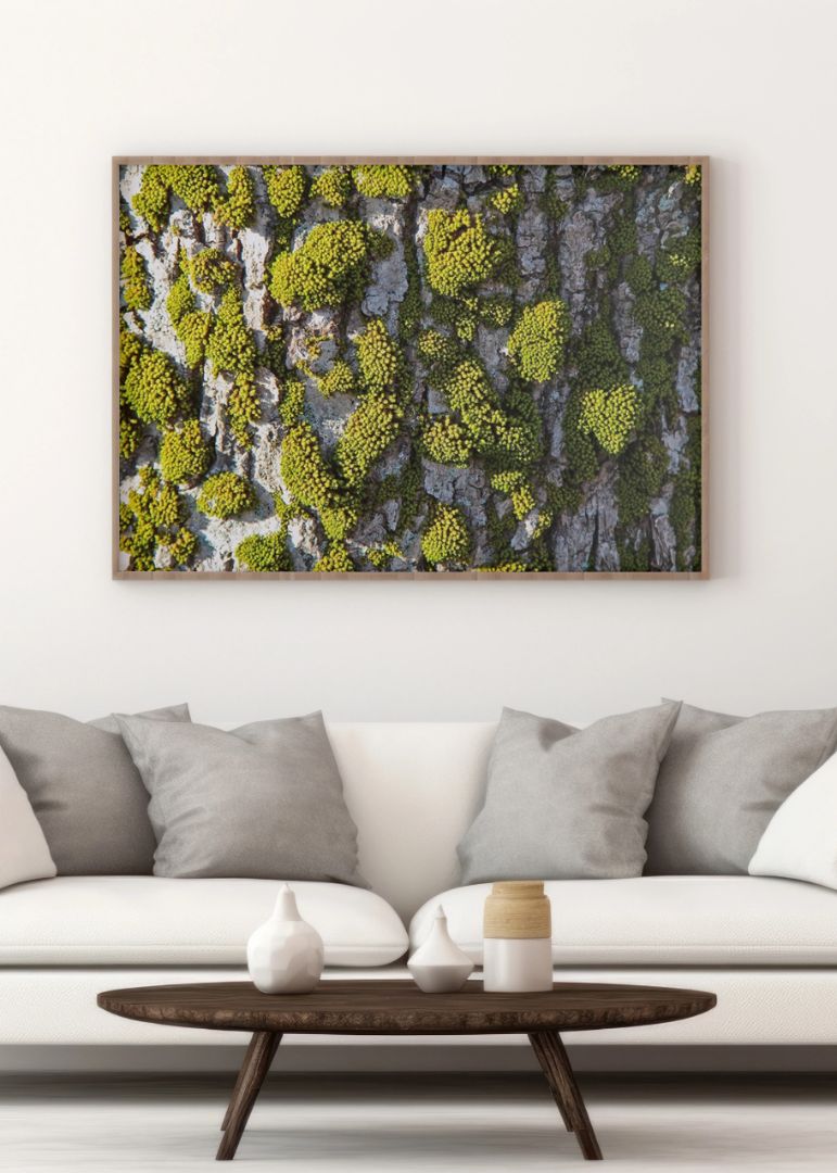Forest Bricks Wall