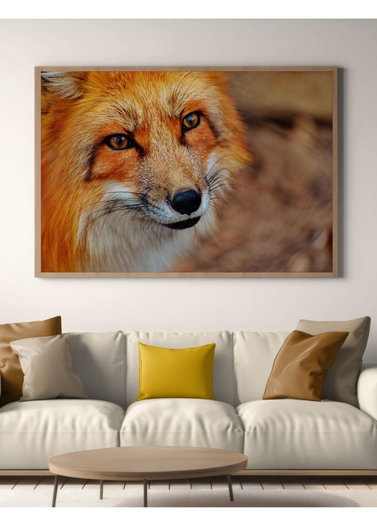 Furious Fox
