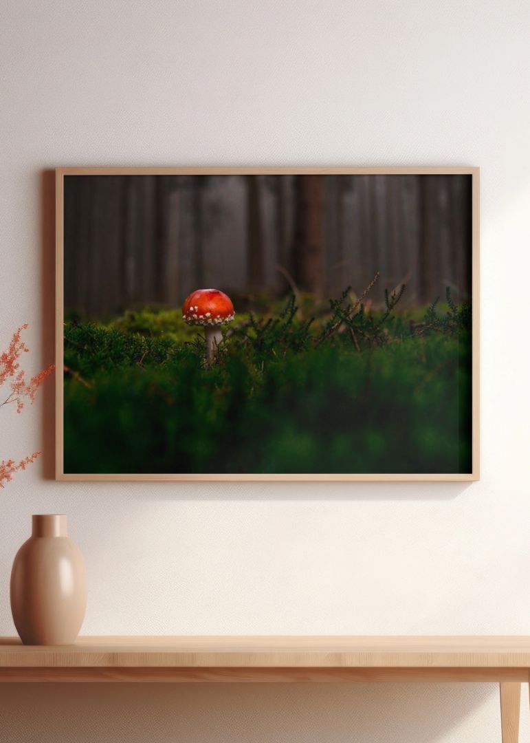 Lone Agaric Mushroom