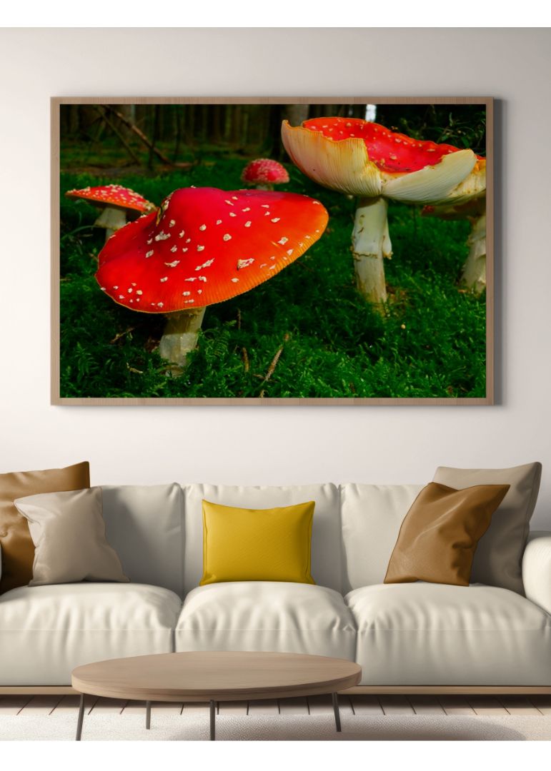 Massive Mushroom