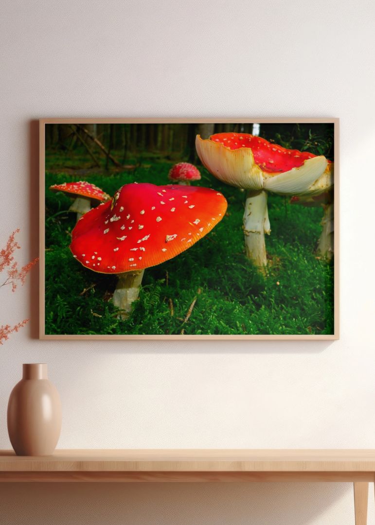 Massive Mushroom