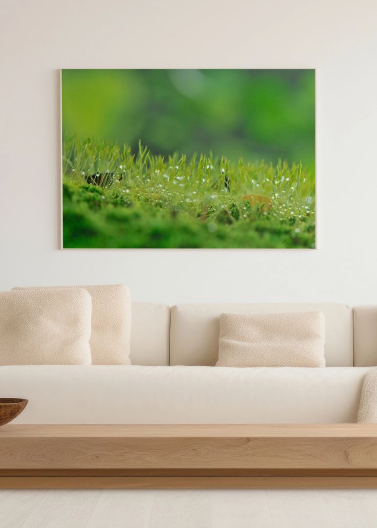 Serene Grass