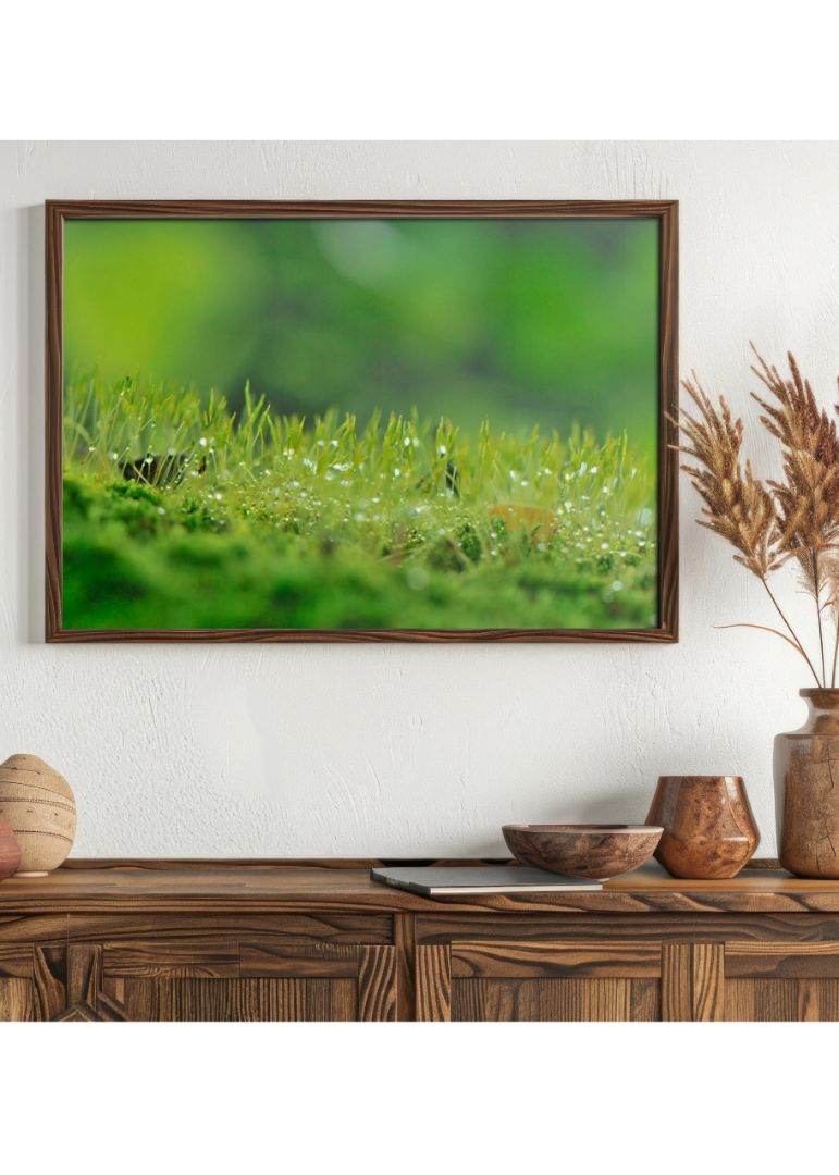 Serene Grass