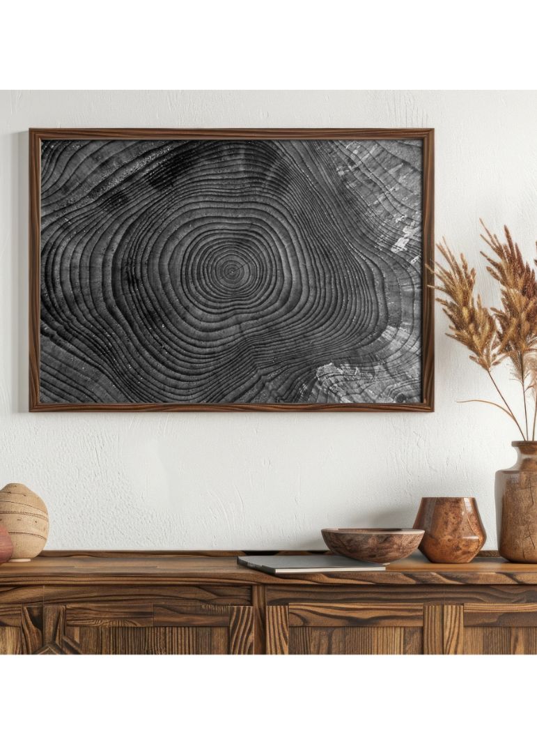 Tree Ring Texture