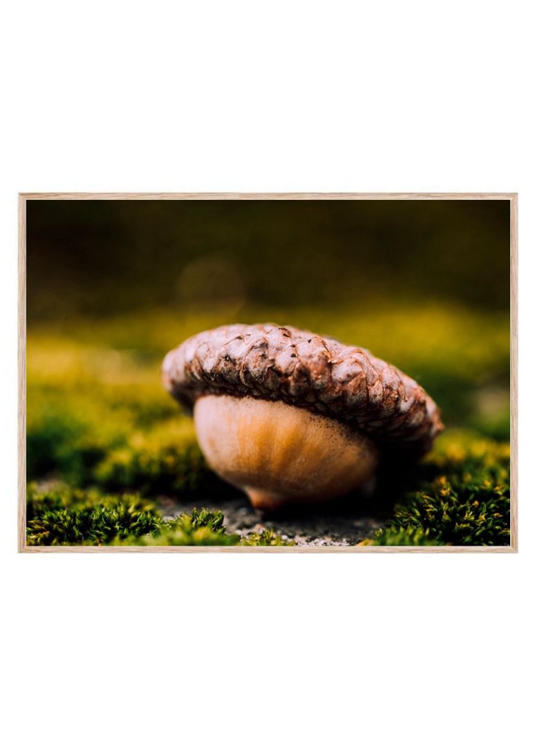 Acorn Nut