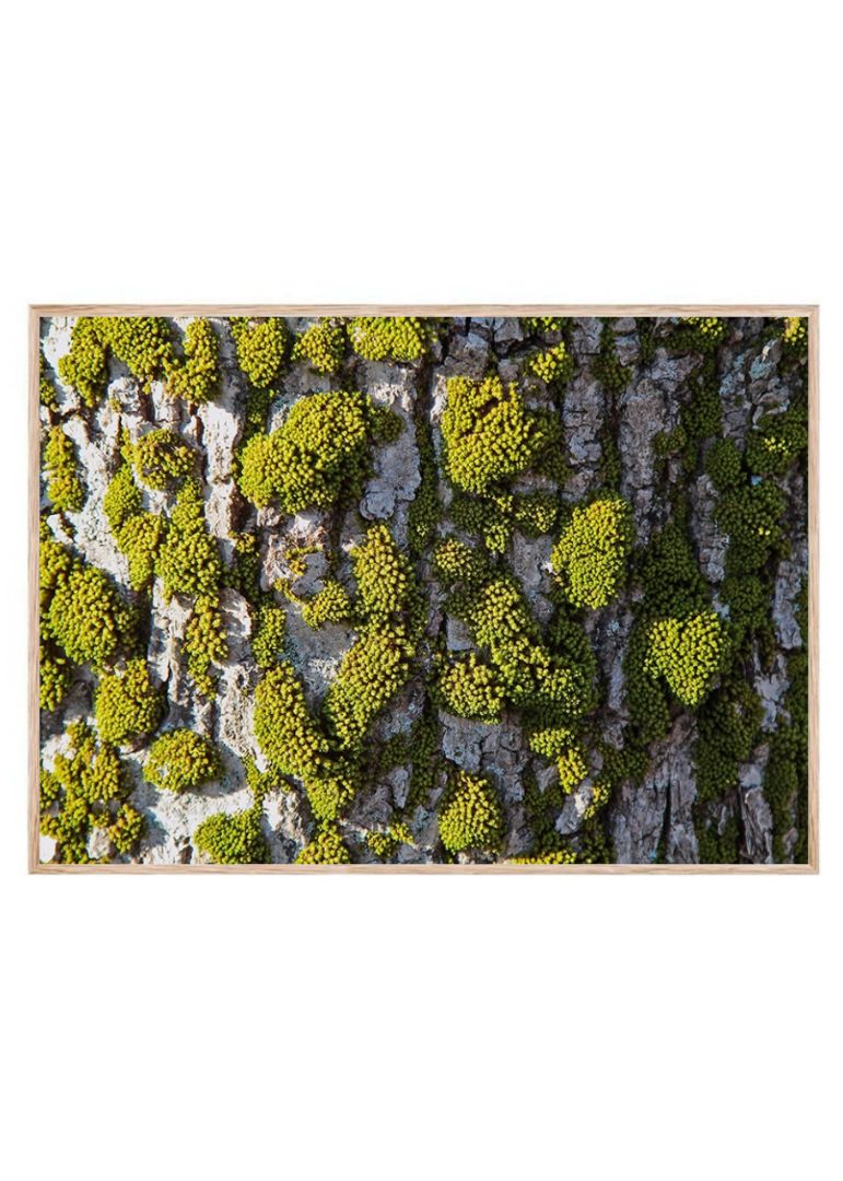 Forest Bricks Wall