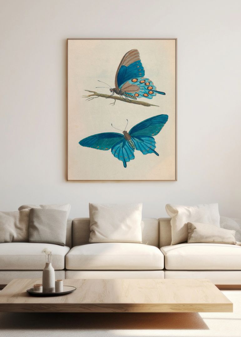 Sommerfugl & Blød Farve Billedvæg