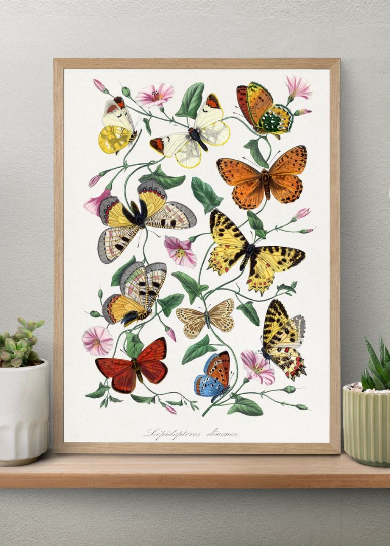 Butterfly & moth painting