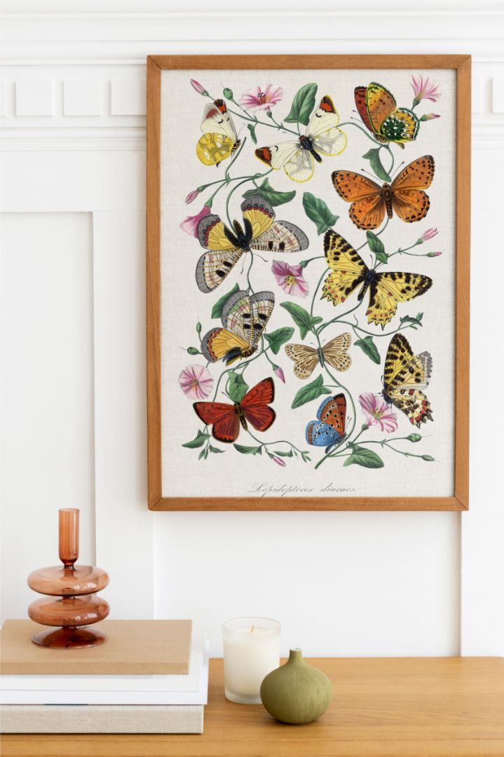 Butterfly & moth painting