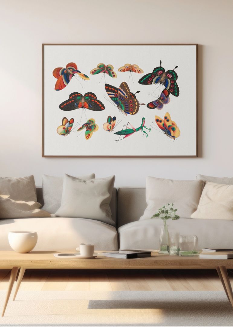 Chinese butterfly and insect