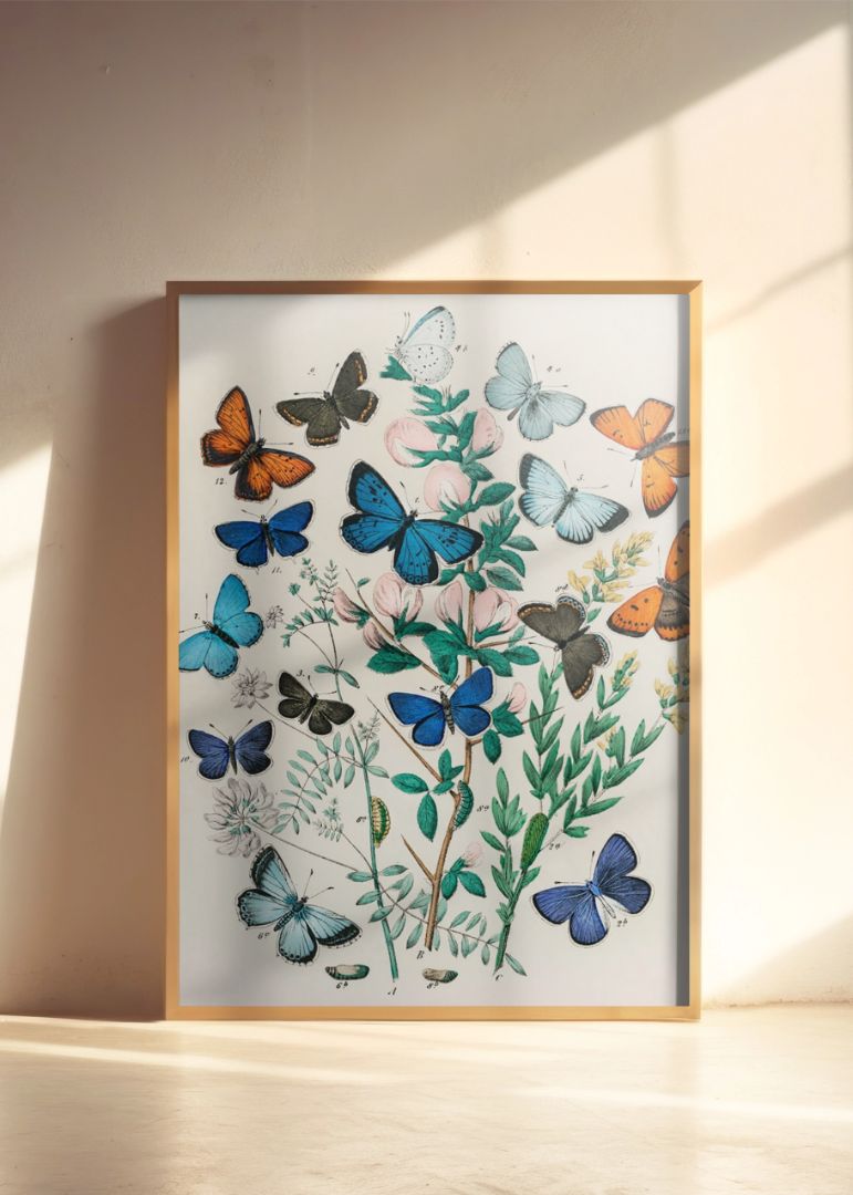 Europæiske sommerfugle