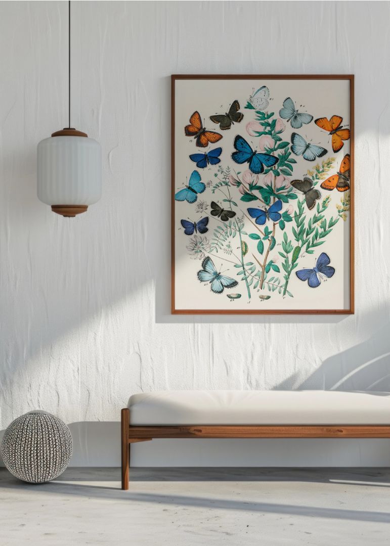 Europæiske sommerfugle