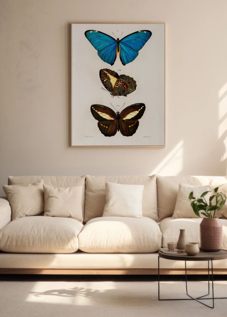 Forskellige sommerfugle 1892