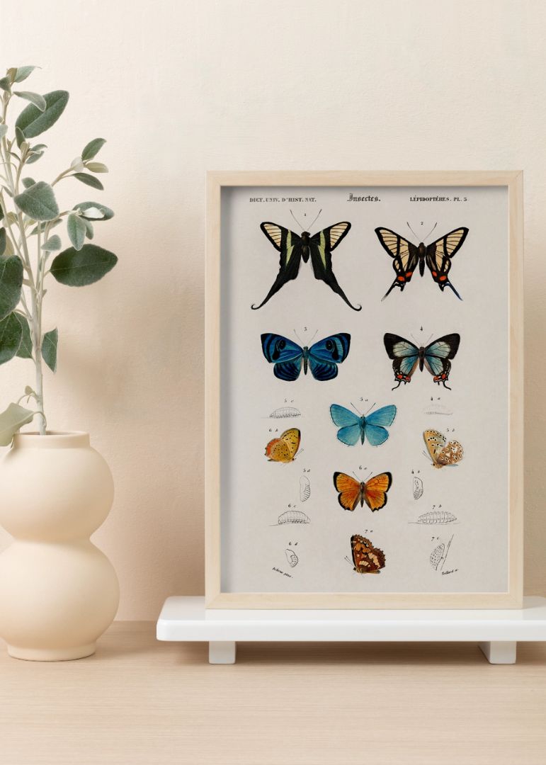 Håndtegnede sommerfugle