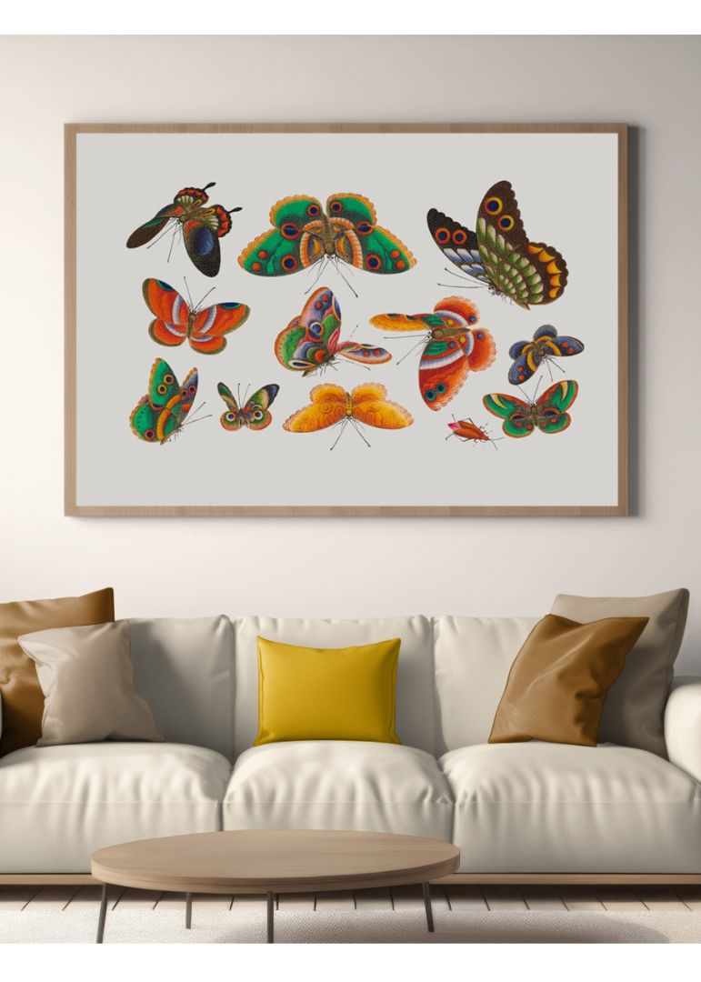 Kinesisk sommerfugl og insekt