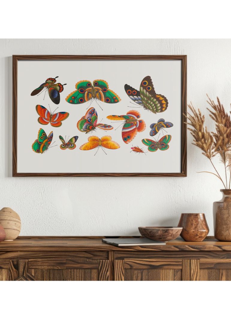 Kinesisk sommerfugl og insekt