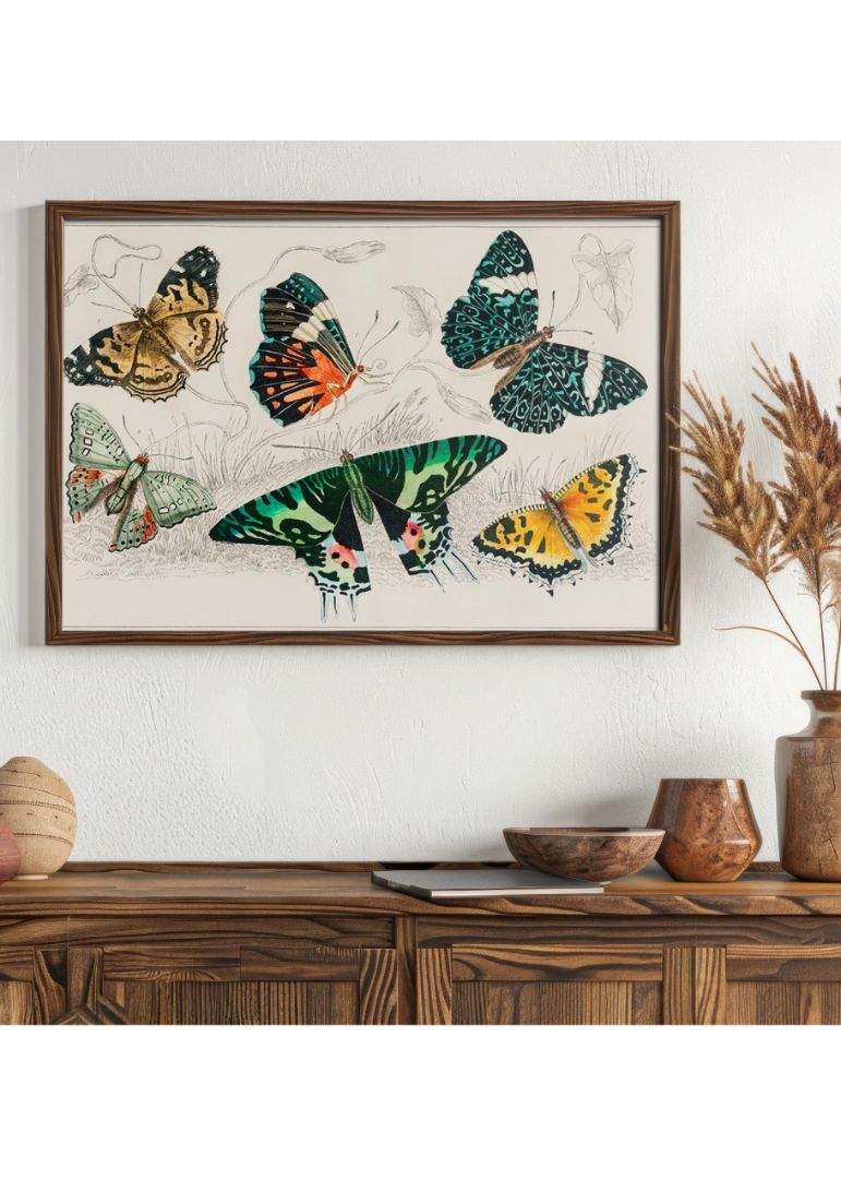 Samling af udvalgte sommerfugle