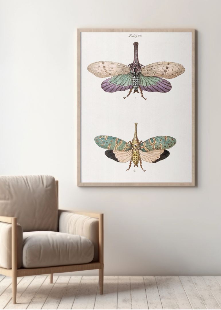The Moth