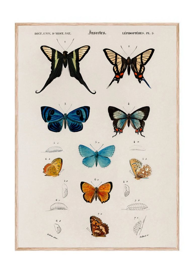 Håndtegnede sommerfugle