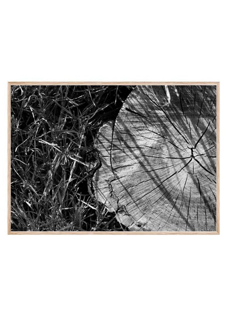 Stump Tree