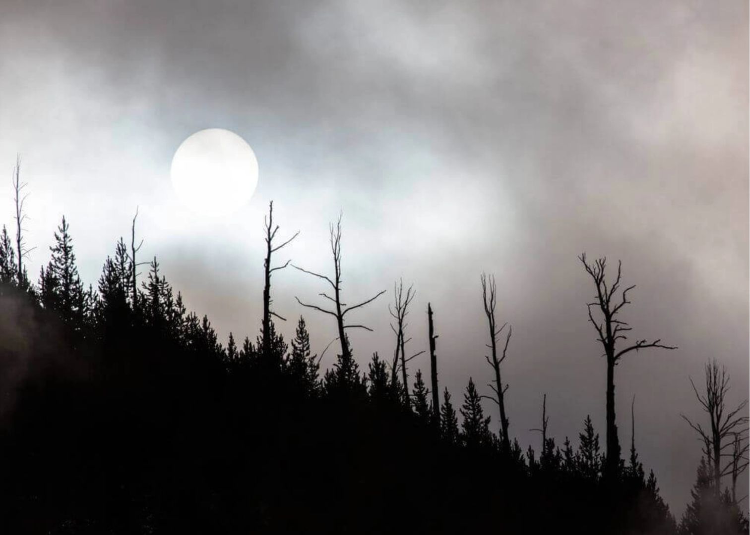 Steamy sunrise over Roaring Mountain