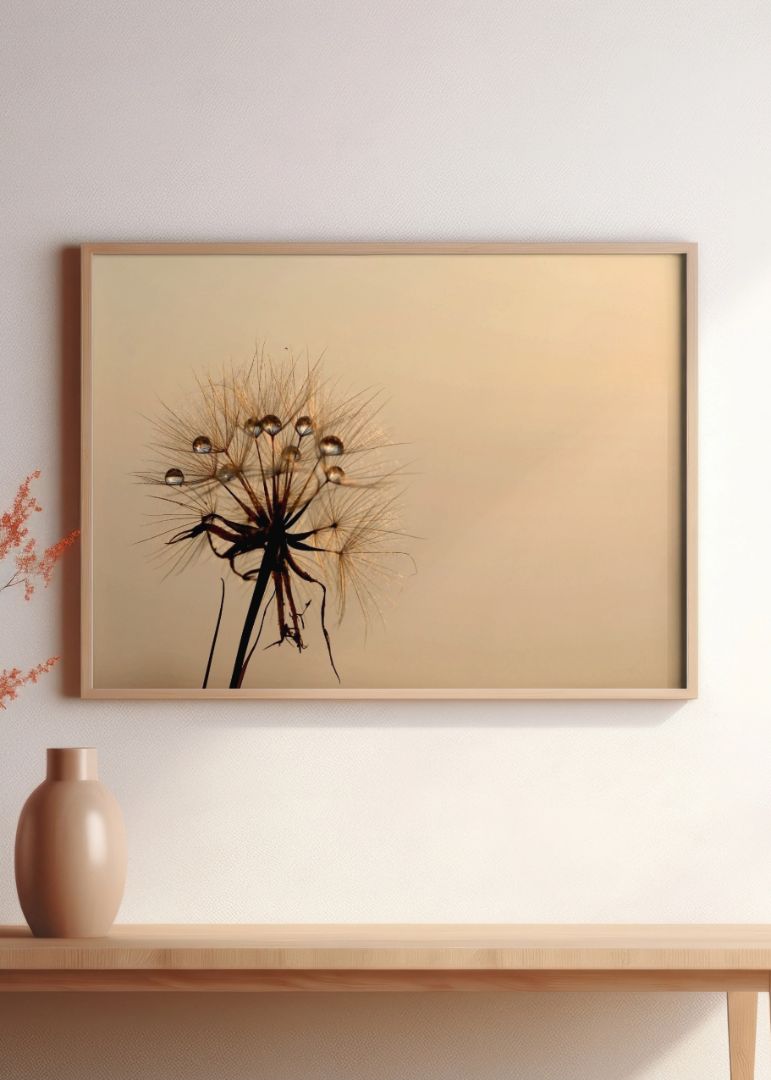 The dandelion on a morning