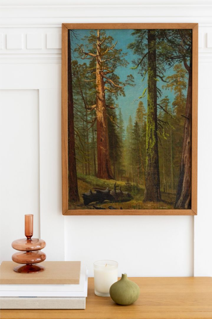 The Grizzly Giant Sequoia