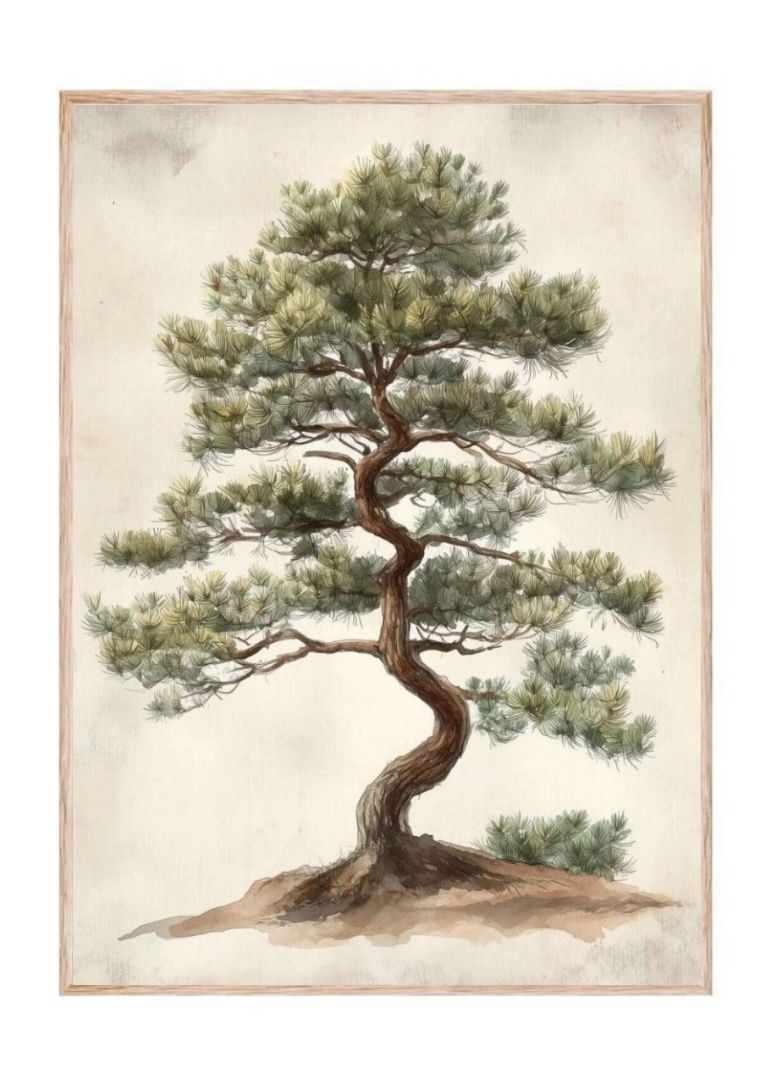 The pine tree