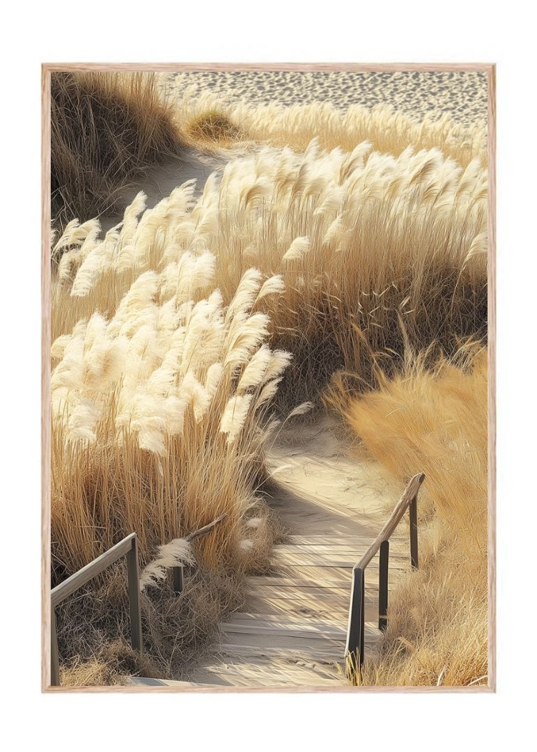 Desiccated Pampas Grass