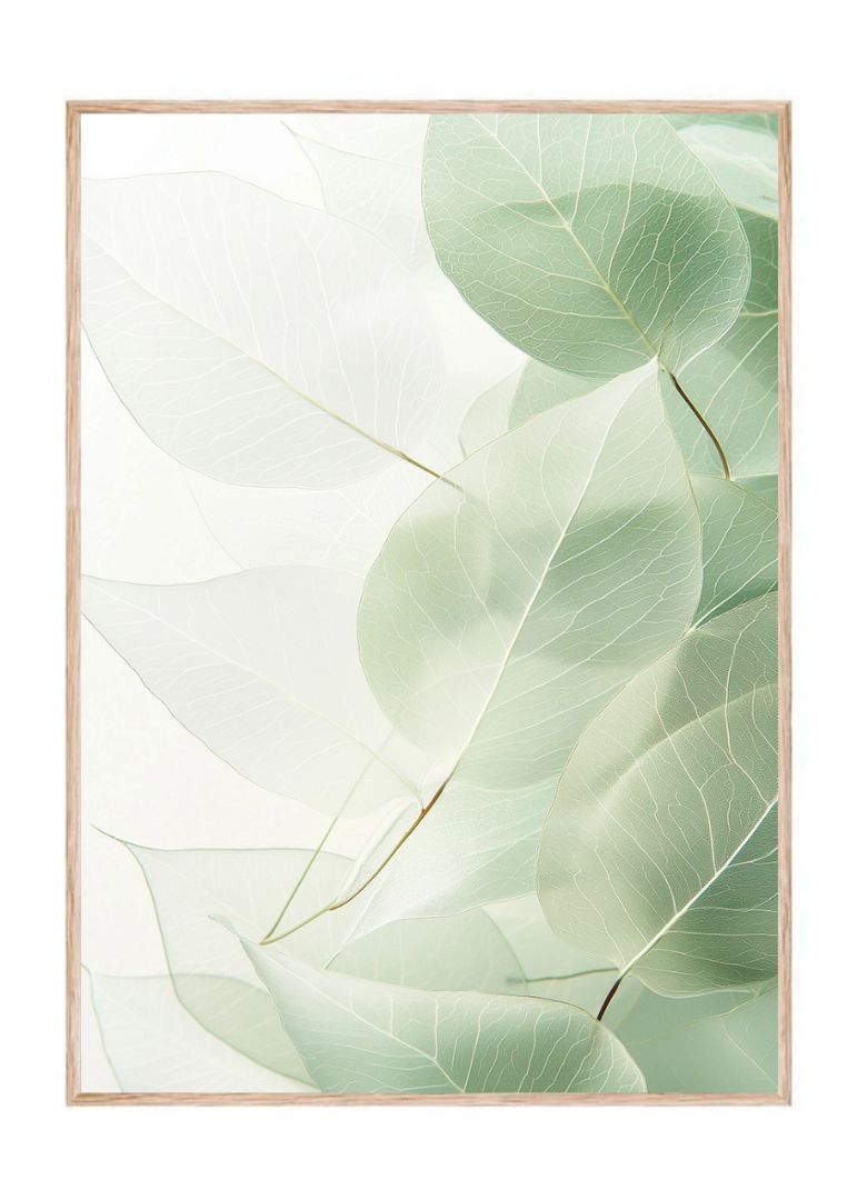 Minimalist Eucalyptus