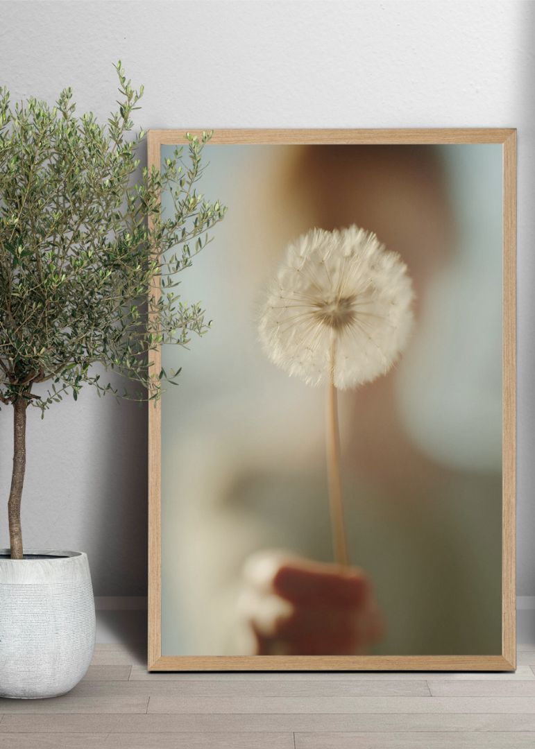 Dandelion