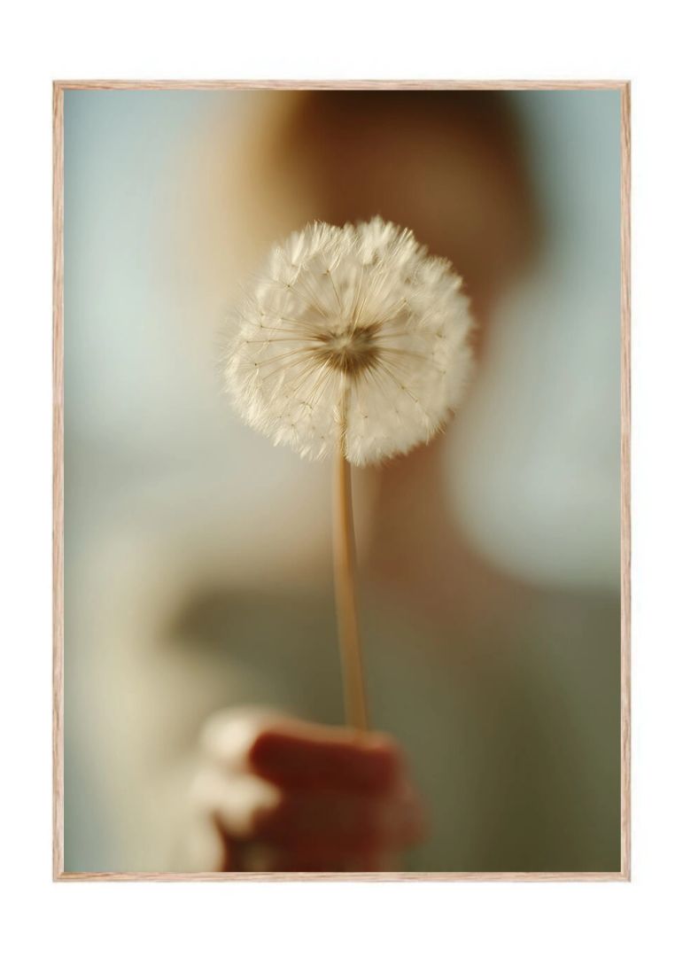Dandelion