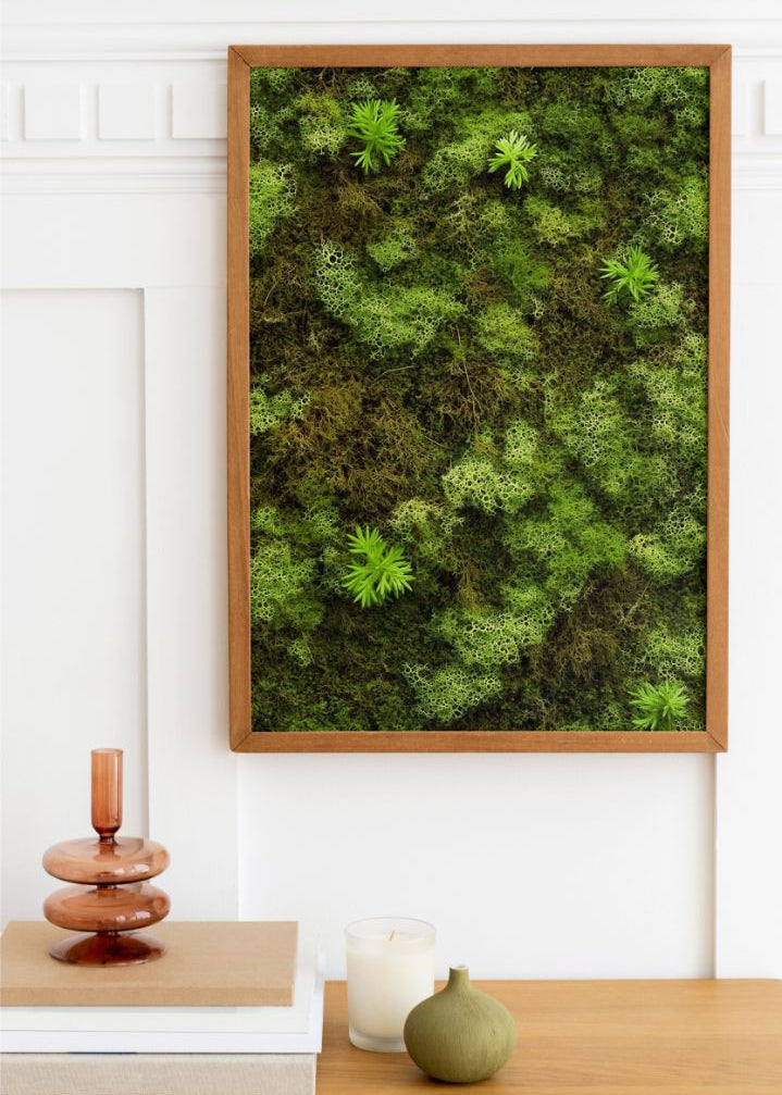 Flat Moss