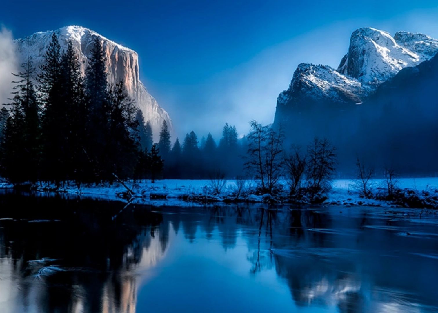 Blueish Wilderness