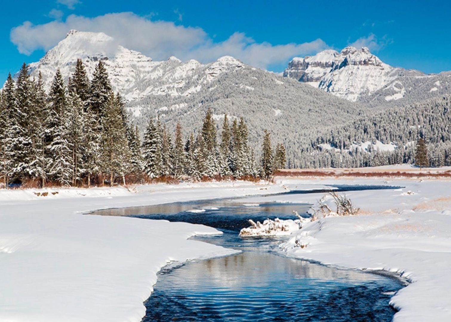 Freezing Nature