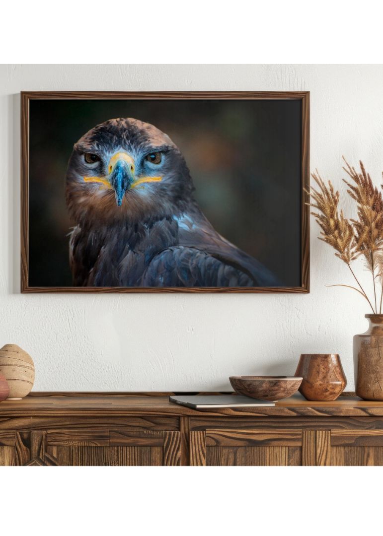 Eagle Unflinching Gaze